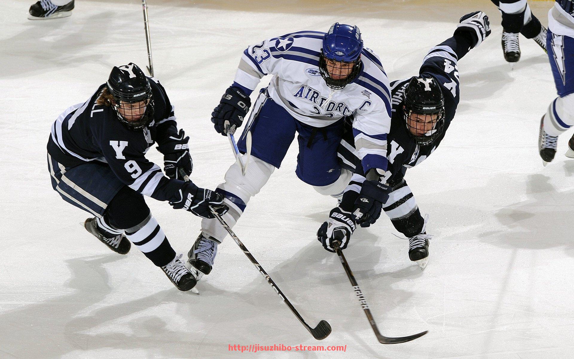 极速直播-奥克兰城防线数据全面整理，稳定性与协防能力解读